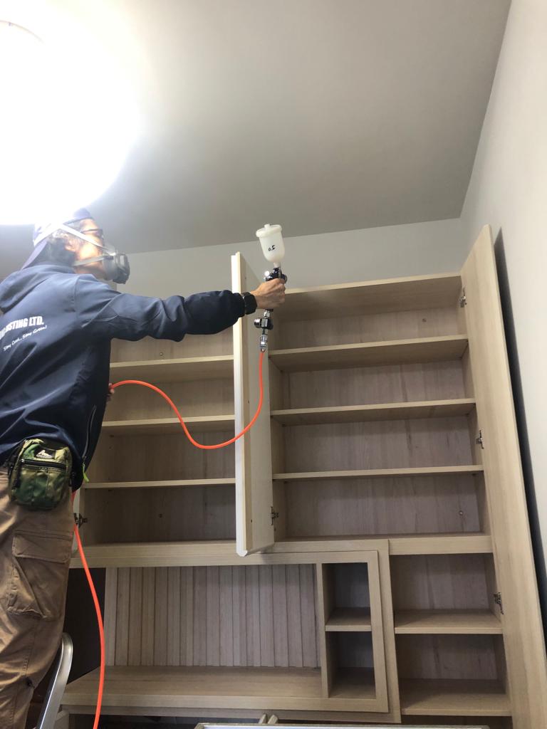 港潔木飾面除甲醛工作實照